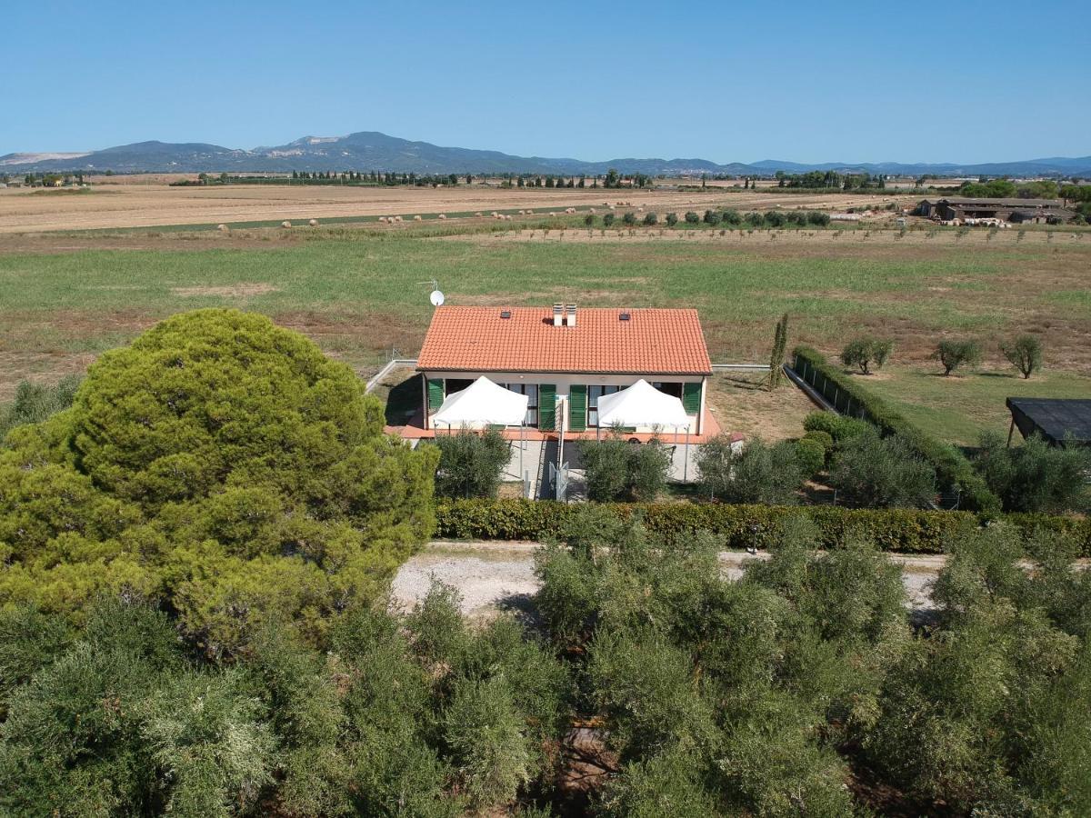 Agriturismo Olivomare Piombino Bagian luar foto