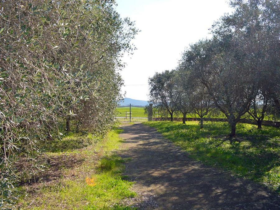Agriturismo Olivomare Piombino Bagian luar foto