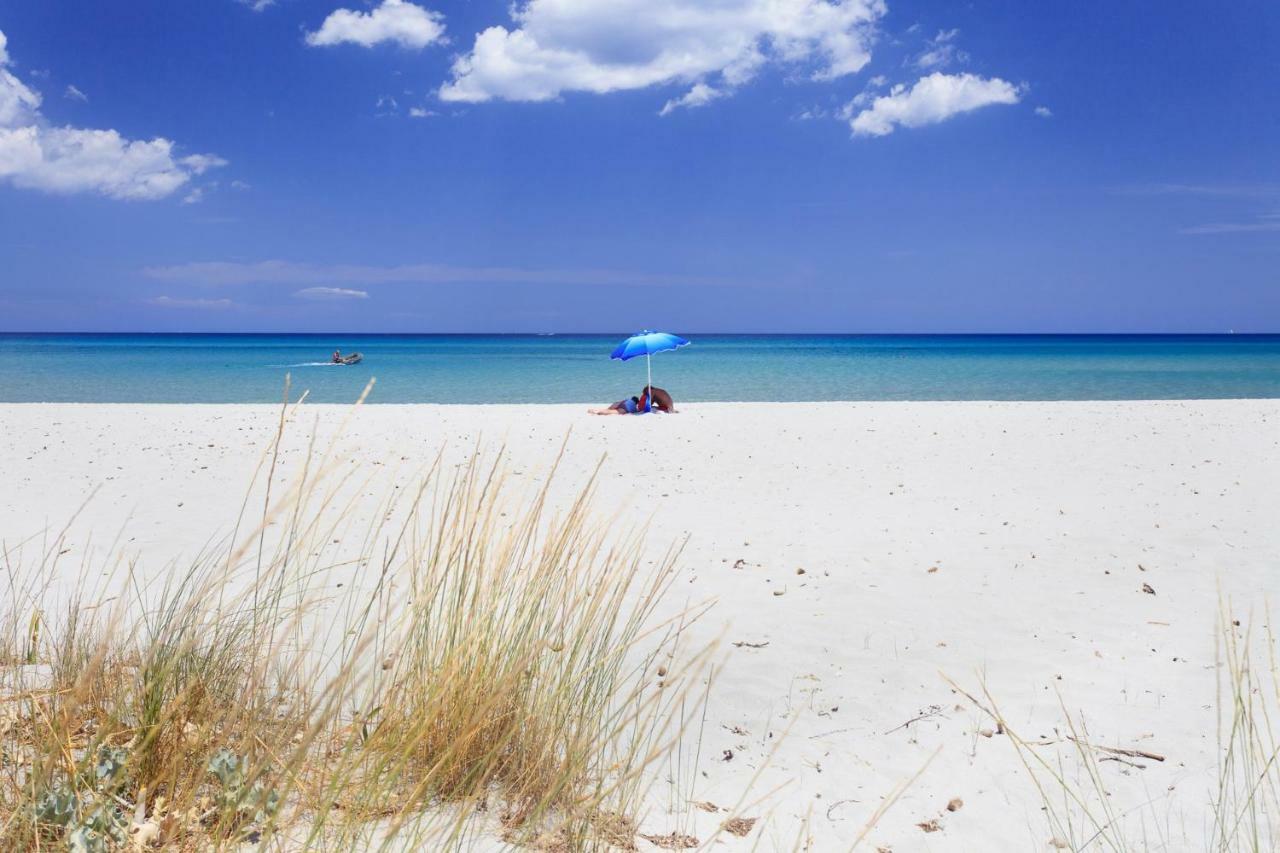 Agriturismo Olivomare Piombino Bagian luar foto